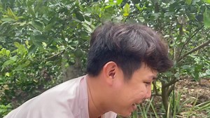 310K views · 8.3K reactions | Linh ế | Hải Ka | Facebook