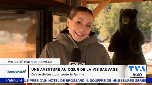 6.9K views · 152 reactions | Vivez une magnifique immersion des...