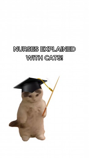 Nurse Kitty: The Purrfect Appreciation