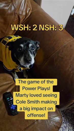 Nashville Predators Edge Capitals in Thrilling Match