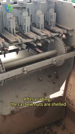 Cashew Nut Shelling Machine Automatic – High Efficiency Nut Processing Equipment