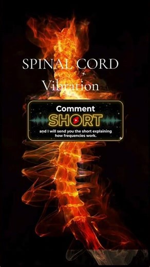 Spinal Cord Frequency Vibration | Feel the Sensation Along Your Spine