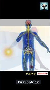 Medical Marvels & Mysteries: Real Human Bodies That Defied Death, Pain & Science