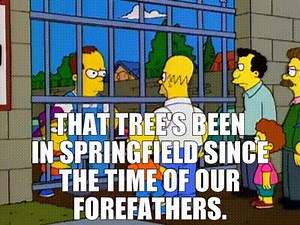 That tree's been in Springfield since the time of our forefathers.
