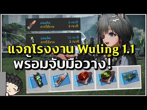 แจกโรงงาน Wuling 1.1 แบบรีดประสิทธิภาพสุด! พร้อมสอนแบบจับมือวาง | Arknights: Endfield