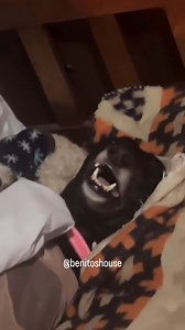 Benito's House on Reels