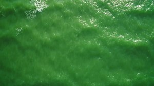 Sea waves in green tones reaching the beach - Free Stock Video