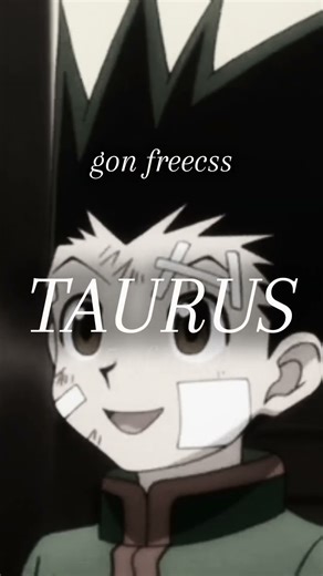 some hxh characters and their zodiac signs! (hxh edit)