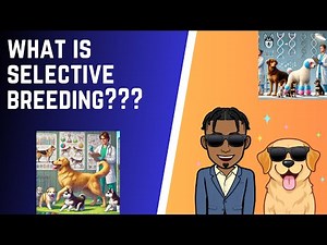 What is Selective Breeding?