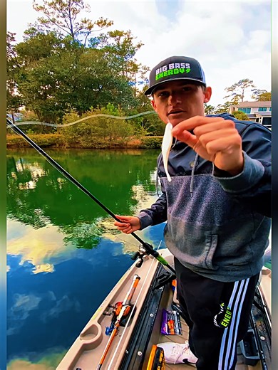 Fishing Tips for Catching Large Bass in Ponds