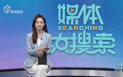 【停播前最后一期】20231229STV新闻综合频道《媒体大搜索》OP/转场/ED