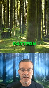 Fog in the forest. Get your FREE camera settings cheat sheets. Visit timsphotos.com | Photography Academy