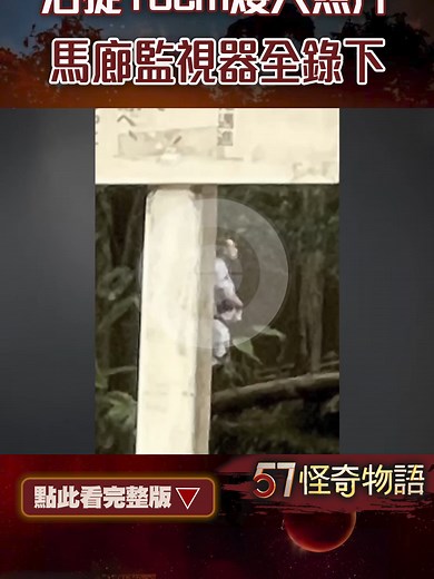 活捉15cm矮人照片！