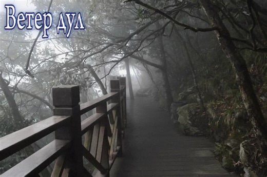 Валентин стрыкало-улица сталеваров#улицасталеваров#стрыкало#валентин#валентинстрыкало