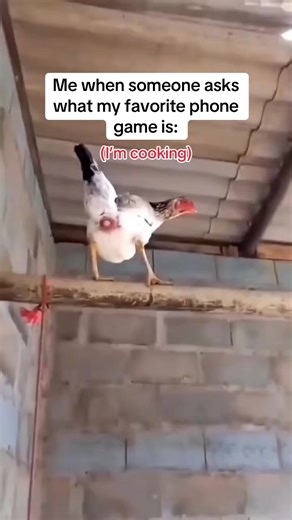 Funny Cooking Memes Compilation