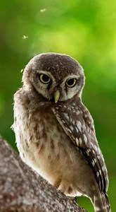 Team @itsmytirupati wishes you all Happy world photography day!!!! ❤️📸 @gully_pictures @girishgrylls @dhanush_wildography @capture_it_with_varshith @charan.kanchi @visualographer_ @the_trustedlens @charankuchi @varrapavanreddy @sushmithareddyphotography @radha127 @tsjagadeesh @srikundanaphotography @tharun_reddy_s4 #photography #photooftheday #love #instagood #instagram #tirupathi #photo #picoftheday #worldphotographyday #nature #beautiful #fashion #art #bhfyp #photographer #itsmytirupati #inst