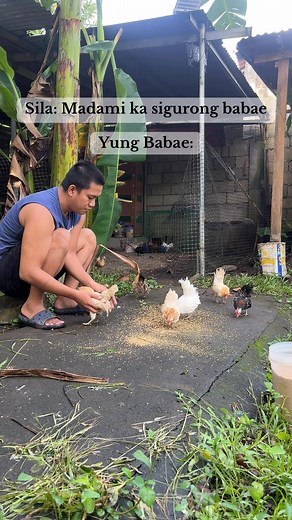 Puro hen at pullet lang po 🤣❤️ #seramachickens #serama #ayamserama #kaserama #reelsfypシ #reelschallenge | Jhon Vincent Dorado