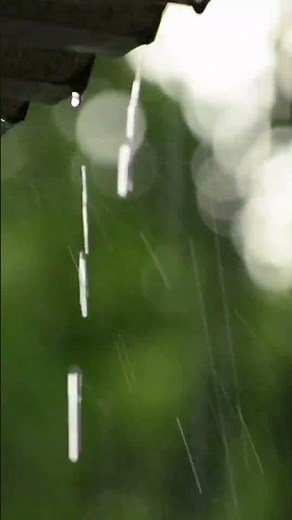 【即効浄化】見るだけで心が洗われる！清流と雨の音がネガティブをすべて流し去る