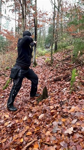 Favorit 3D Archery Shots #3darchery #instinctivearchery #archery