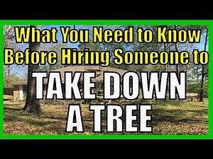 What to Know BEFORE Hiring a Tree Removal Company