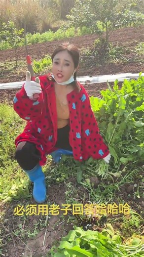 I'm basking in the sun. What are you doing? Can you use me to reply? My humorous and funny video