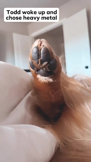An early morning headbanger | Tucker Budzyn