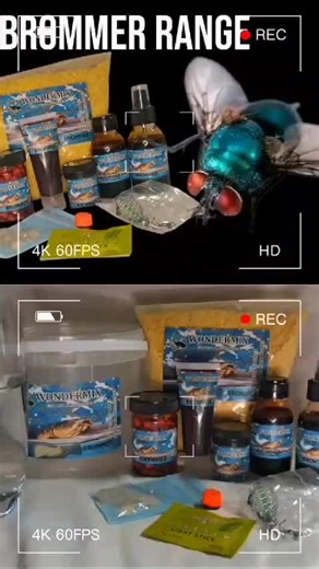 Bussy Lizzy (@_busy_lizzy)’s videos with original sound - Bussy Lizzy