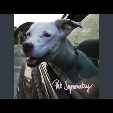 A Detailed & Poetic Physical Threat To The Person Who Intentionally Vandalized My 1994 Dodge...