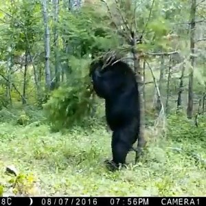 Biology GIF on Reels