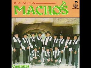Banda Machos - La Culebra