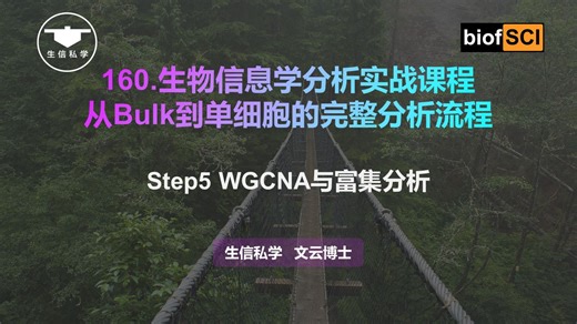 1605. WGCNA与富集分析【高分套路：GEO   热门基因集（类副凋亡）  机器学习诊断分型   单细胞（Ro/e / 虚拟敲除