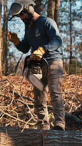 3.7K views | Trees don’t wait. And neither do we! Call Georgia Pro for trusted, local tree care and 24/7 emergency service when you need it most.  (404) 751-8743 | bit.ly/GeorgiaProTreeServices | Georgia Pro Tree Services | Facebook