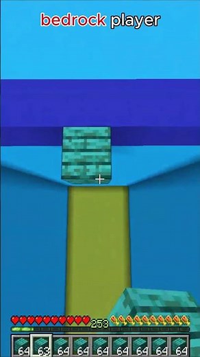 ⚡ “Java vs Bedrock Speed Bridge Race”
