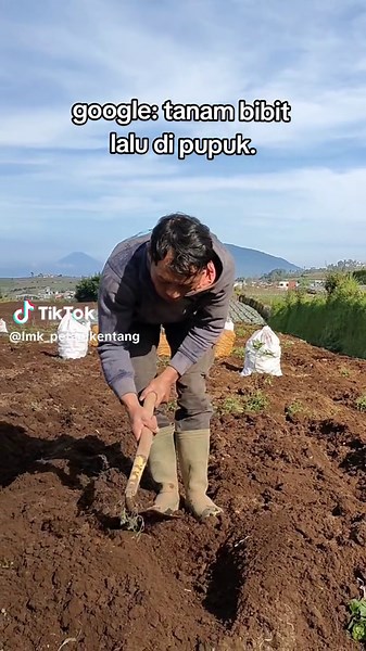 liat tutorial bertani di google. . . . . #tutorials #petani #tutorial #banjarnegaraterkini #petaniindonesia🇮🇩🇮🇩🇮🇩🌿🌿 #petanimuda #tani #trending #viralid @Malfnd