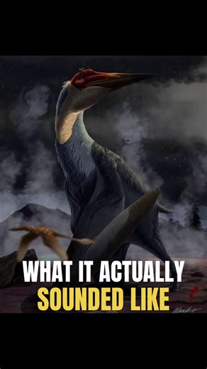 What Quetzalcoatlus Really Sounded Like #quetzalcoatlus #paleontology #sound #dinsoaurs
