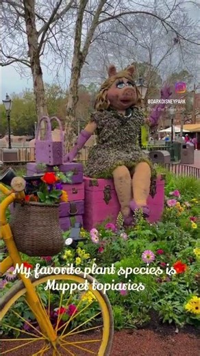 Muppet topiaries are back at Disney for Epcot’s Flower & Garden Festival! Kermit the Frog Miss Piggy