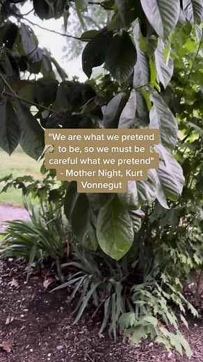 #quotesoftheday #kurtvonnegut