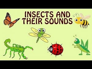Insect Sounds for Kids – Fun Bugs Chirping & Buzzing