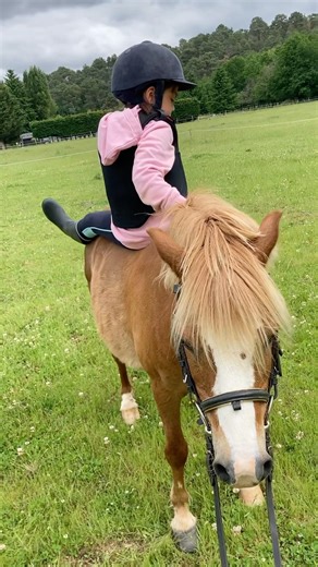 Every rider has done this before. #horseriding #horse #pony