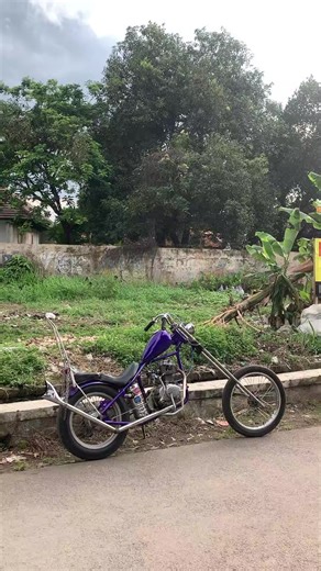 Embrace the Chopper Life: A Journey Through Custom Bikes