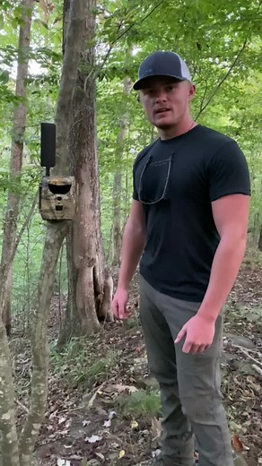 Trail Cameras Innovation: A Decade of Advancements
