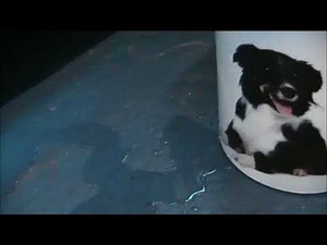 The Old Hoover AC158 CLASSICA 1000 Washing Machine Part 3