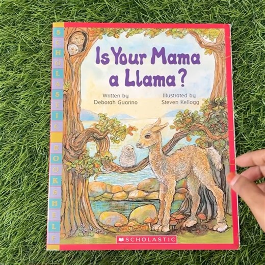 bookMibook - kids preloved books on Instagram: "W1153 New Book_Is Your Mama a Llama? Paperback Rs. 149 W1168 New Book_Pretty Perfect Kitty Corn Paperback Rs. 110 W1177 New Book_The Story of Our Corn Paperback Rs. 95 W1252 New Book_Family Reunion Paperback Rs. 95 W1258 New Book_Kindergarten ABC Paperback Rs. 75 W1263 New Book_The Baby Comes Home! Paperback Rs. 65 W1266 New Book_Shaya’s Worries Paperback Rs. 95 W1279 New Book_In the Land Of Words Paperback Rs. 135 W1281 New Book_Higher! Higher! Pa