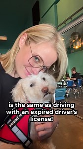 1.4K views · 4.9K reactions | IMPORTANT. Your expired ESA...