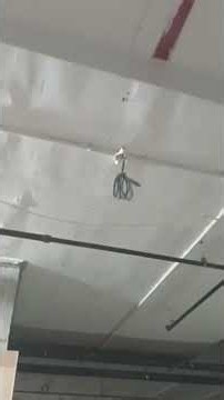 Fire Alarm System Cable Work Demo | Proper Alignment & Site Safety Explained #cablework #cablelaying