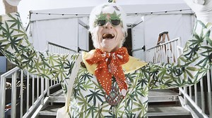 20K views · 20 reactions | The Emerald Cup on Reels | Facebook