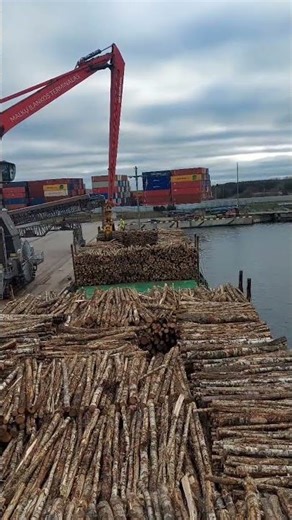 Loading of Wood Pulp Cargo using Heavy Duty Material Handler Machine #woodpulp