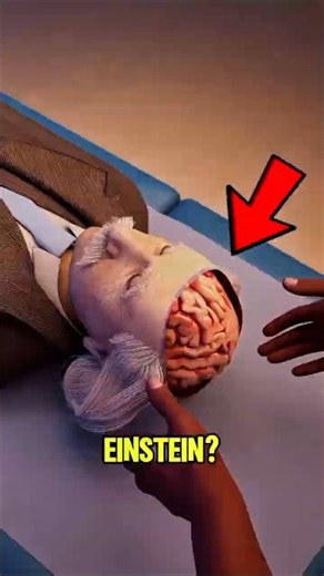 What If You Had Albert Einstein's Brain? 😱