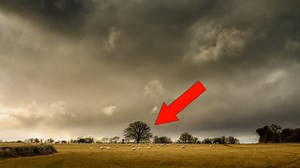 26K views · 153 reactions | An expert navigator explains how to tell the exact time it'll begin to rain. | Insider Tech Presents | Facebook