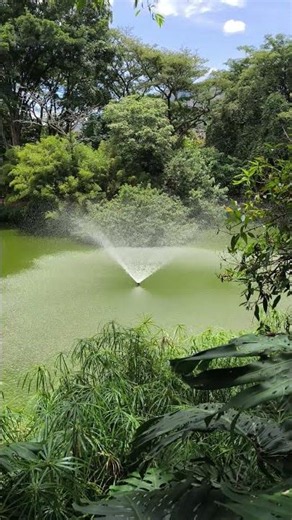 water fountain 💧 Medellín Botanical Garden